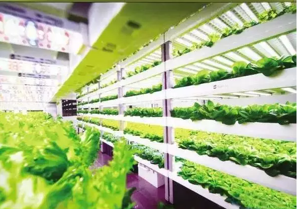 南京諾爾迅亮化，照明亮化工程